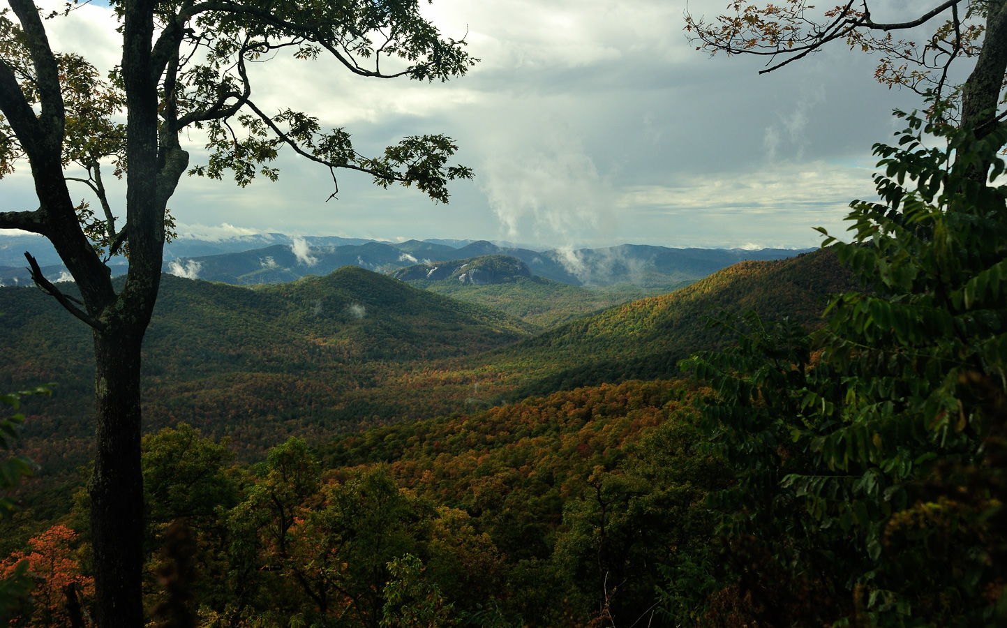 Blue Ridge Parkway [48 mm, 1/250 Sek. bei f / 10, ISO 400]